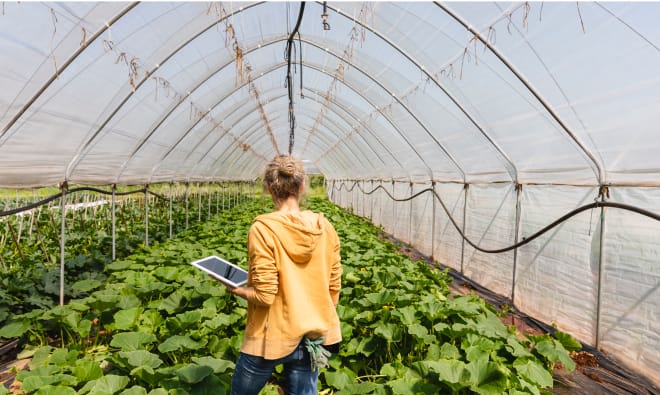 Woman working on a tablet in a greenhouse