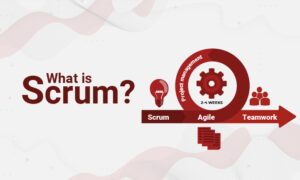 What is Scrum? - Professional Development