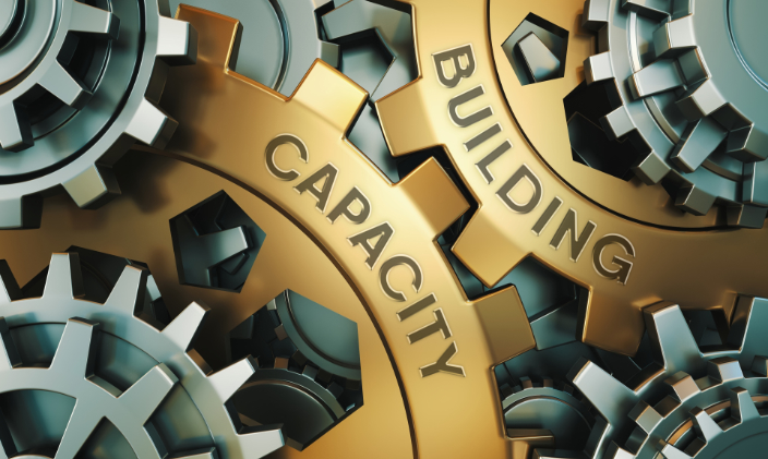 Graphic depicting two cog wheels with the words "capacity" and "building" written on them